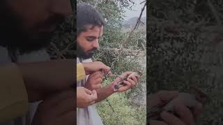 पता नहीं किस रूप में Narayan मिल जायेगा bhajan ram help rescue birds [upl. by Eleanor725]