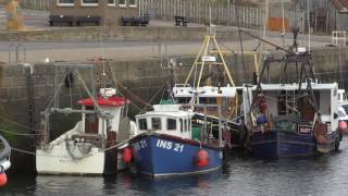 BURGHEAD HARBOUR  RUNRIG  DAY IN A BOAT [upl. by Nalyak]