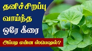 Health Benefits of Vallarai Keerai  Tamil Health Tips [upl. by Samaria]