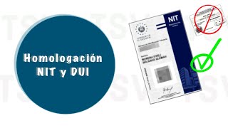 Homologación NITDUI El Salvador [upl. by Alekehs]