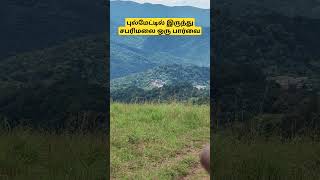 புல்மேடு swamysaranam sabarimalaayyapan sabarimalaiayyappanofficial [upl. by Amye]