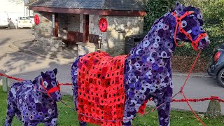 Remembrance Day display at Crantock village Cornwall  dji action 4 [upl. by Morrill]