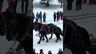 Fur Rondy 2024 Anchorage Alaska Parade [upl. by Meredeth]