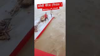 गरीब का दर्द😥 कोशी ब्यारेज पुलमे लकरी निकाल रहा है 😯😯 Koshi barrage pull viral shorts shortvideo [upl. by Idnem]