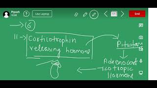 Corticotropin releasing hormone  11th Class [upl. by Kenimod937]