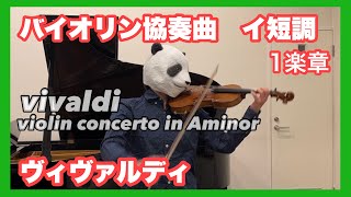 【 AVivaldi 】Concerto in Aminor op36 1st mov【ヴィヴァルディ】バイオリン協奏曲イ短調より1楽章 [upl. by Any]