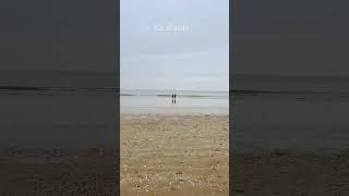 Winter Beach in La Baule  Brave Souls in the Cold Ocean WinterBeach LaBaule [upl. by Benedetto]