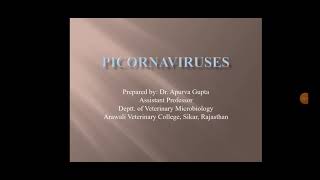 Picornaviridae family  veterinary virology lectures by Dr Apurva Gupta [upl. by Wong]