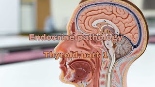 Endocrine pathology Thyroid Part 1 [upl. by Parthinia]