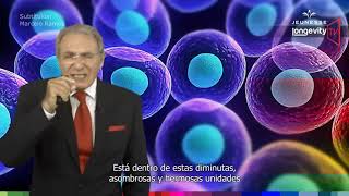 Jeunesse Longevity TV  JEUNESSE GLOBAL  Episodio 1 Español [upl. by Clerc]