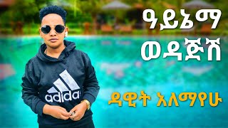 Ethiopian music quotዓይኔማ ወዳጅሽquot ዳዊት አለማየሁ Dawit Alemayehu quotAynema wedajshquot live 2020 [upl. by Nortal686]