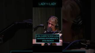 Lisa Curry chats with the ladies about her dogs recent wedding podcast shorts ladytolady [upl. by Anirbas738]