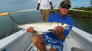 Bimini Bonefish Fishing the Flats in the Bahamas [upl. by Battiste]