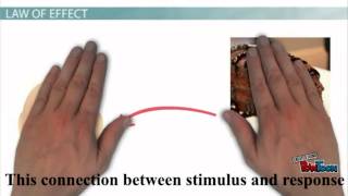 Connectionism Law of Effect [upl. by Tloc]