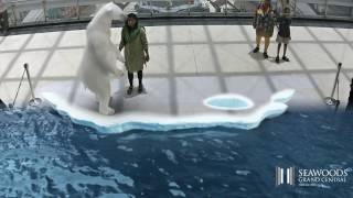 Arctic Thrill At Seawoods Grand Central Mall [upl. by Lashoh847]