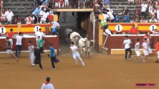 2º ENCIERRO EN TUDELA NAVARRA FIESTAS SANTA ANA 26072012 [upl. by Ahsillek]