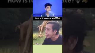 Try Not to Laugh Challenge 135🤣 funny shorts viral [upl. by Akinohs]