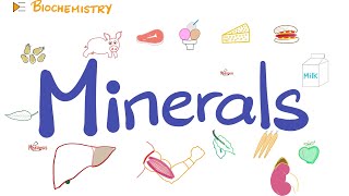 Your Body Needs Minerals Trace Elements  Diet and Nutrition [upl. by Achilles]