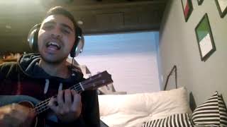 Nil Moliner  Som Ocells ukelele minicover [upl. by Hsac]