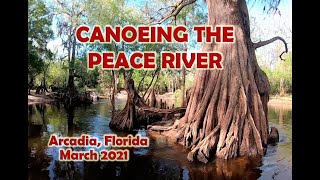 Canoeing down the Peace River in Arcadia Florida [upl. by Arevle853]