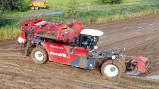 deWulf RCE 3060 Potato Harvestering [upl. by Egdirdle]