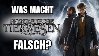 PHANTASTISCHE TIERWESEN und wo sie PROBLEME haben  Was macht das HarryPotterSpinOff falsch [upl. by Margaretta]