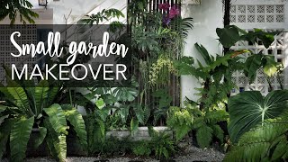 Small tropical garden 20sqft makeover with 10 Pro Gardening Tips [upl. by Mellins]