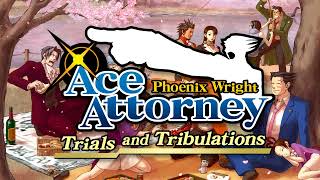 Cross Examination  Allegro 2004  Phoenix Wright Ace Attorney — Trials and Tribulations [upl. by Kondon]