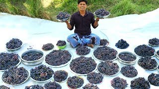 50 KG GRAPE JUICE  Summer Health Drinks Recipe  Grape Juice from Farm Fresh  Village Food Channel [upl. by Ettesil]