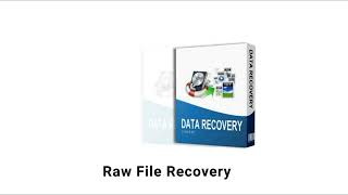 Sayprint Data Recovery for Complete data recovery [upl. by Suirred]