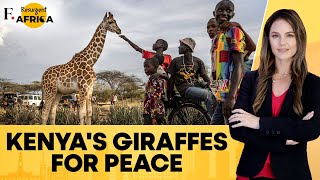 Giraffes of Hope How Kenya’s Majestic Giants Are Bridging Decades of Conflict  Firstpost Africa [upl. by Reis]