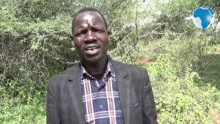 West Pokot leaders decry county being sidelined in emergency response on locust invasion [upl. by Sulakcin]