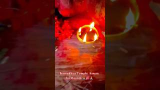 Kamakhya Temple Assam Jai Mata di 🙏 🌺 🙏youtubeshortsvideo trending maa kamakhyatemple song [upl. by Ellett946]