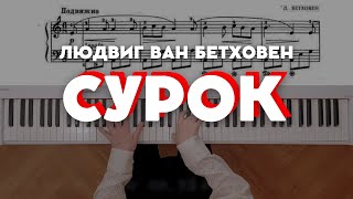 Бетховен — Сурок op52 №7  Beethoven — La Marmotte quotA Merry Songquot op52 №7 [upl. by Adine14]