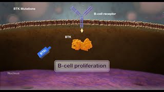 Mechanism of Brutons Tyrosine Kinase BTKMutations [upl. by Emmer]