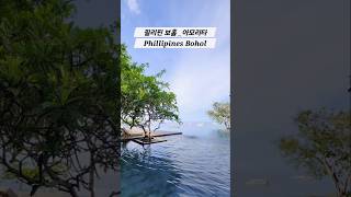 필리핀보홀아모리타 보홀아모리타리조트 Amorita Resort Bohol Amorita 보홀여행 [upl. by Piotr]