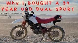 I Bought A 39 Year Old Dual Sport  1984 Yamaha XT600 [upl. by Wooster]