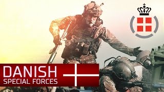 Danish Special Forces  Jægerkorpset amp Frømandskorpset [upl. by Aynad]