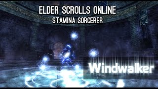 Stam Sorc Build quotWindwalkerquot PvE  ESO [upl. by Ain]