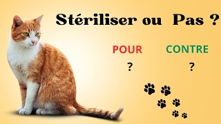 Stériliser Son Chat  Avantages et Inconvénients à Connaîtresterilisationchatchats [upl. by Aevin511]