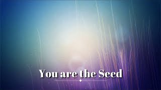 You are the Seed Hymn with Lyrics [upl. by Notsniw695]