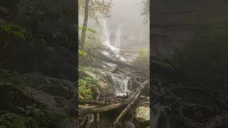 Panther Creek Falls Cohutta Wilderness  Scenic Vista  Panther Creek Falls Cohutta Wilderness [upl. by Davenport]