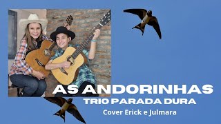 As andorinhas Trio Parada Dura Cover Erick e Julmara [upl. by Ebner]