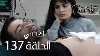 مسلسل أضانالي  الحلقة 137  Adanalı [upl. by Kuhlman]