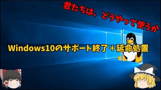 【2025年10月どうする】Windows10のサポート終了！＋延命処置 windows windows10 windows11 [upl. by Enirehs]