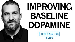 Improve Your Baseline Dopamine for Motivation amp Drive  Dr Andrew Huberman [upl. by Rabkin]