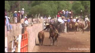 7  Lo Mejor de los Coleaderos  Picones Zacatecas [upl. by Sellma]