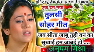 😭😭VIDEO TULSI SOHAR GEET तुलसी विवाह जव सीता तू जाबू वन का सुखाई हम जाबे 🙏🙏 [upl. by Marven163]