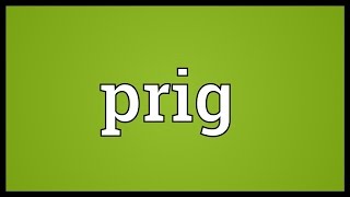 Prig Meaning [upl. by Langdon]