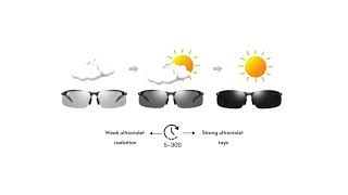 AllDay Comfort Sunglasses [upl. by Qahsi]